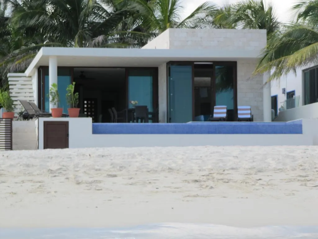 Casa Moskito Playa del Carmen Mexico
